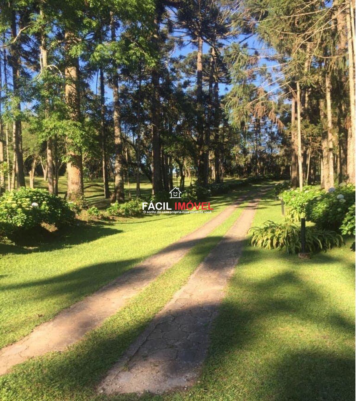 Chácara à venda com 2 quartos, 48000m² - Foto 2