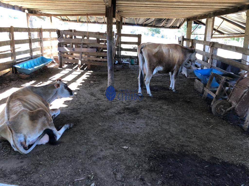 Fazenda/sítio/chácara/haras com 3 Dormitórios à venda, 260 m² por R$ 1.500.000,00
