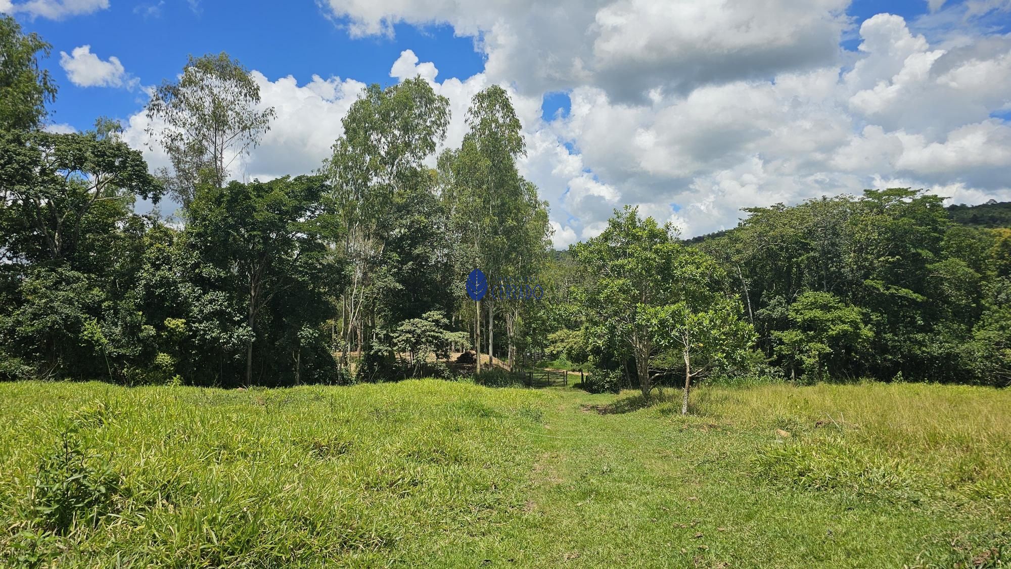 img77640682
