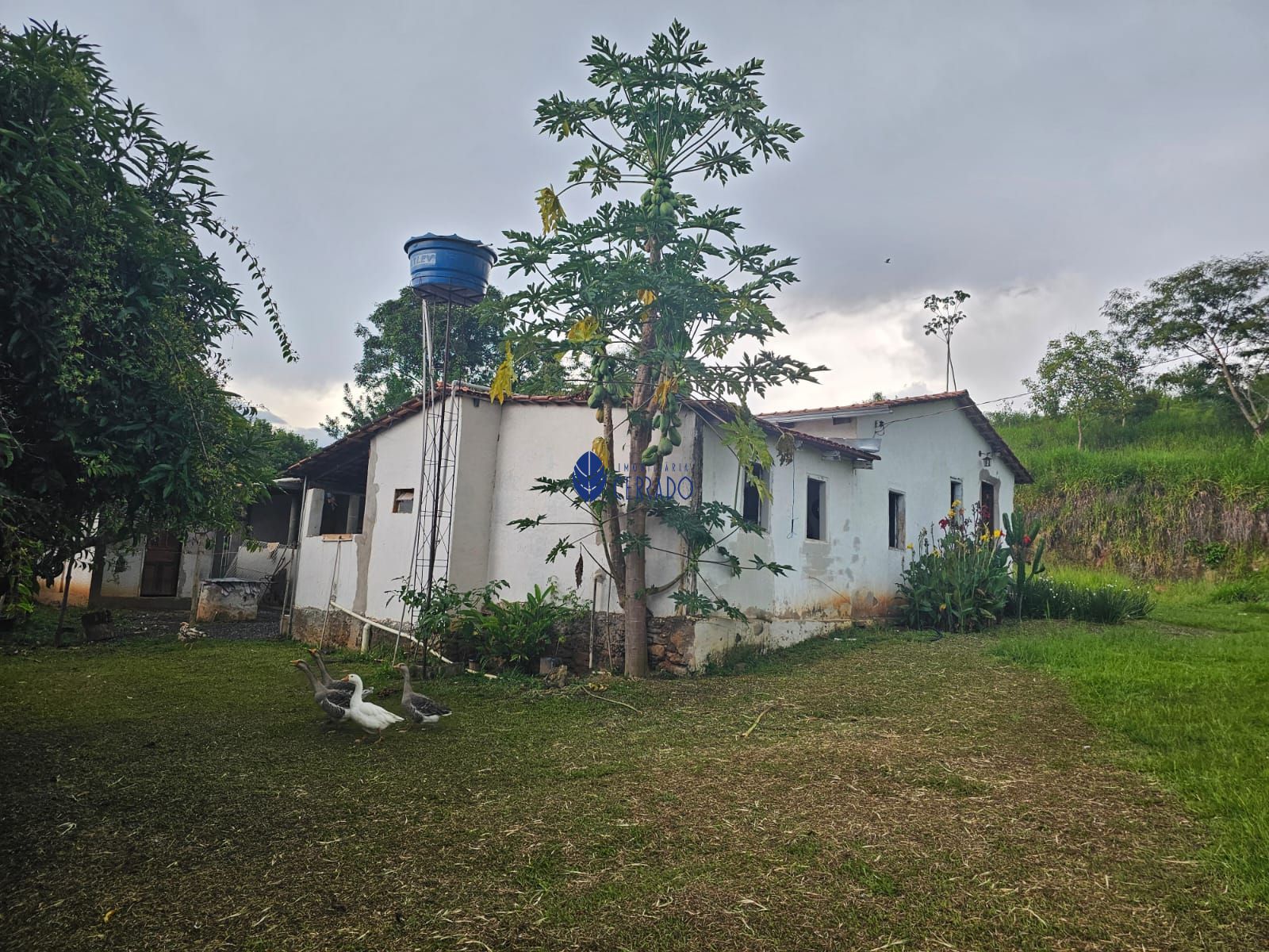 Chácara à venda com 4 quartos, 110m² - Foto 12