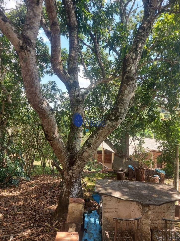 Fazenda à venda com 1 quarto, 6500m² - Foto 14