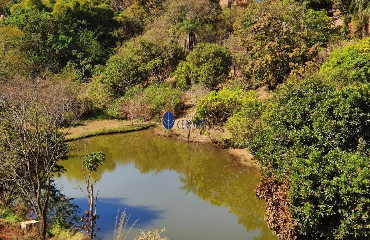 Fazenda à venda com 3 quartos, 220m² - Foto 6