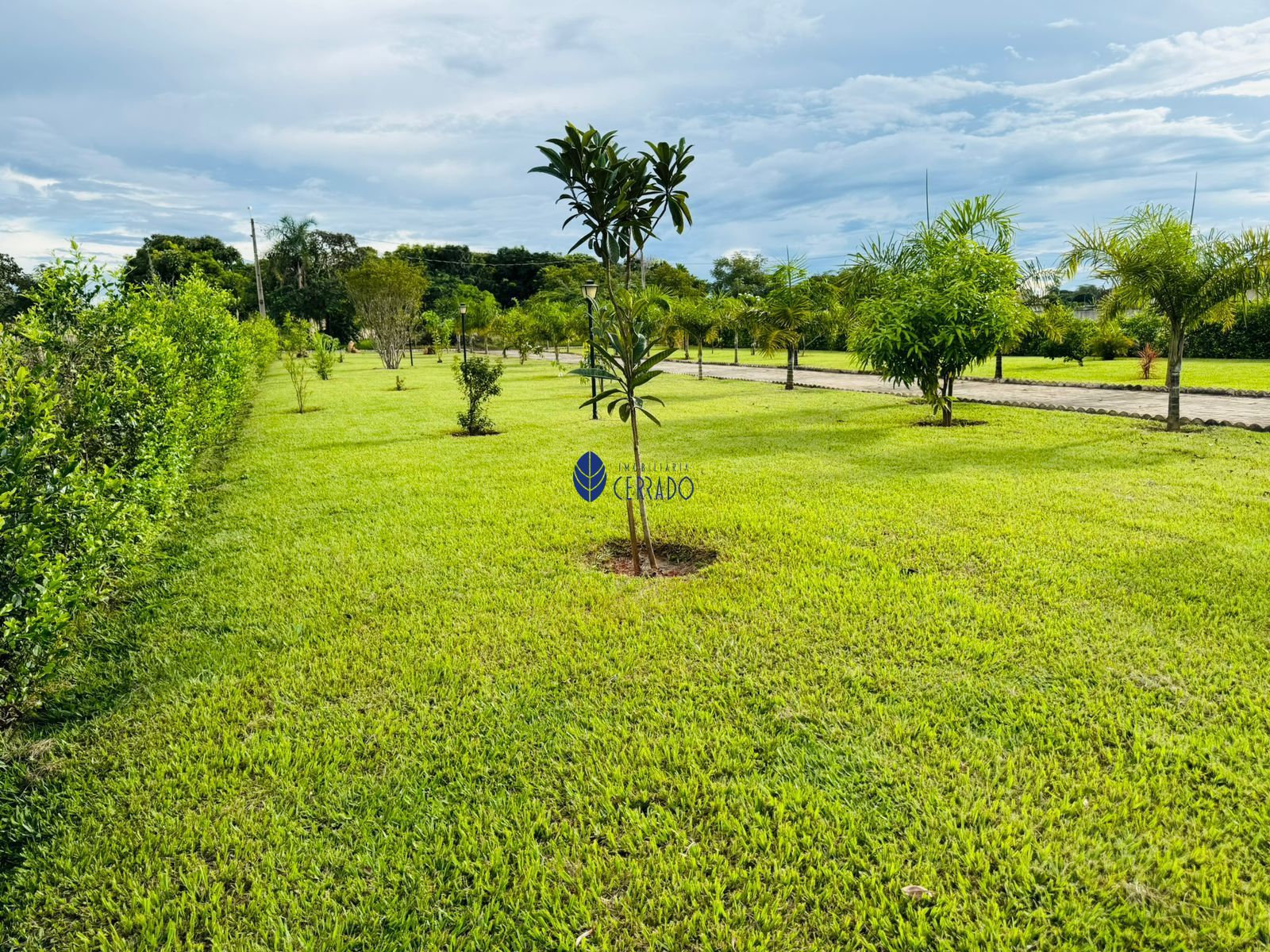Casa de Condomínio, 3 quartos - Foto 42