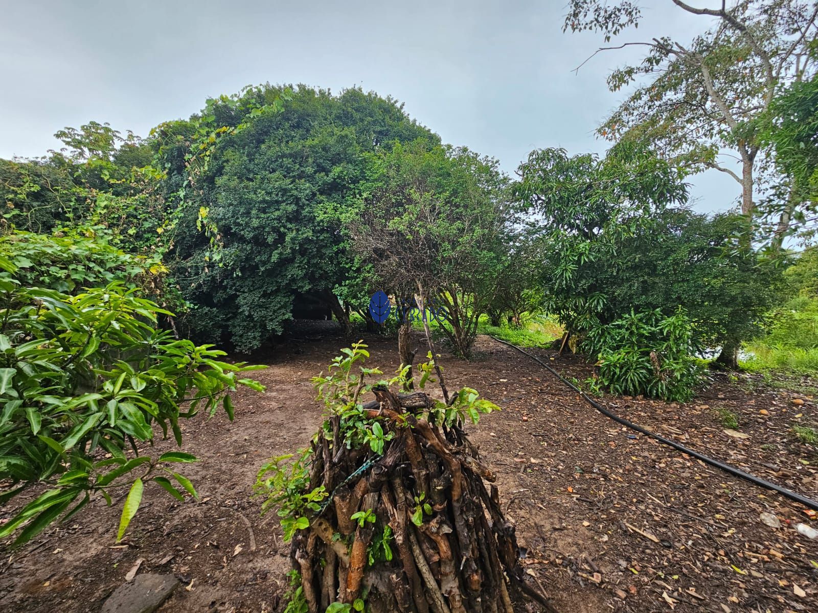 Chácara à venda com 4 quartos, 110m² - Foto 15