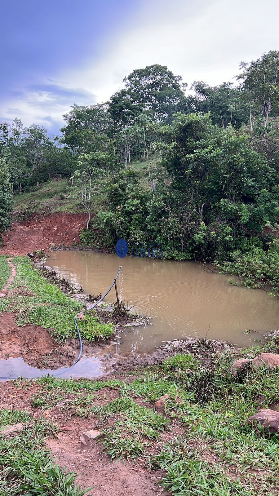 Sítio, 3 quartos, 32 hectares - Foto 32