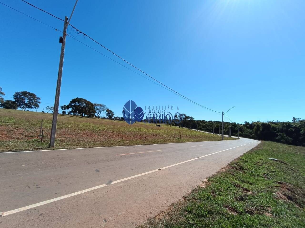 img31565502