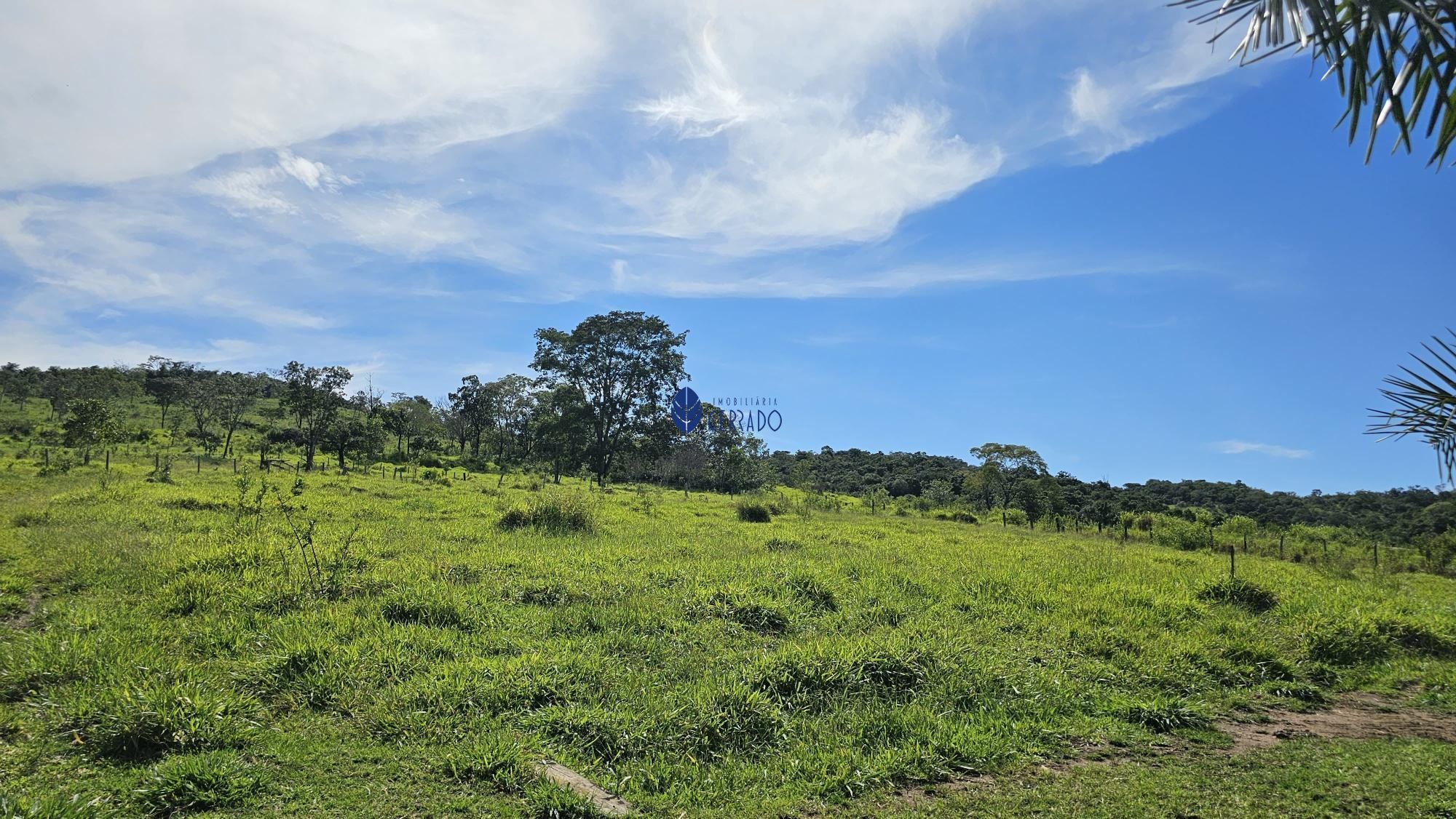 img77640645
