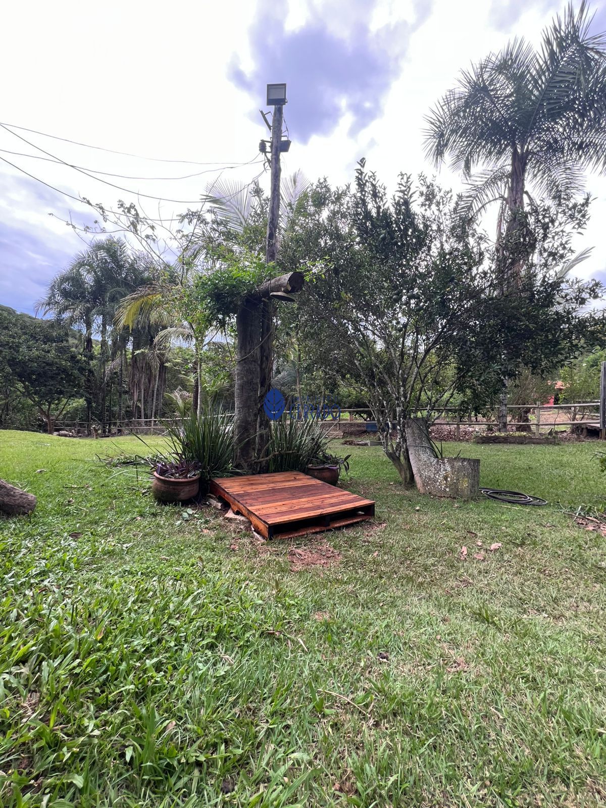 Sítio, 3 quartos, 32 hectares - Foto 20