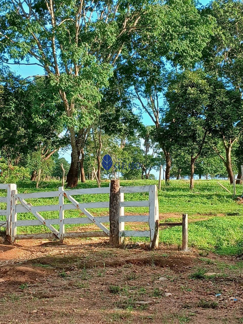 Sítio, 5 quartos, 24 hectares - Foto 14
