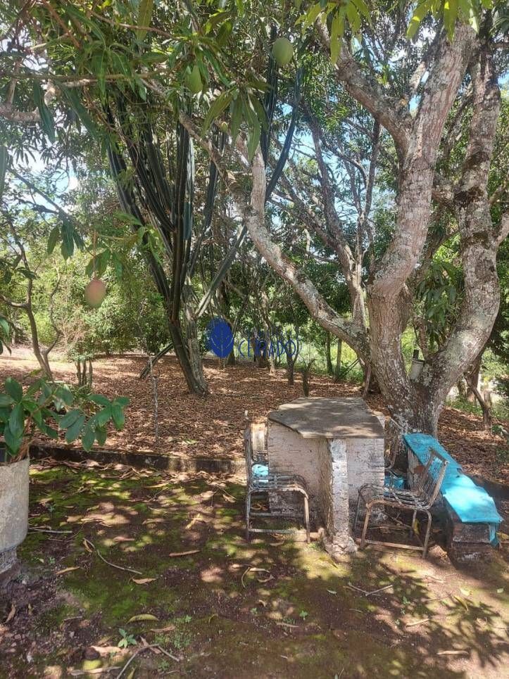 Fazenda à venda com 1 quarto, 6500m² - Foto 12