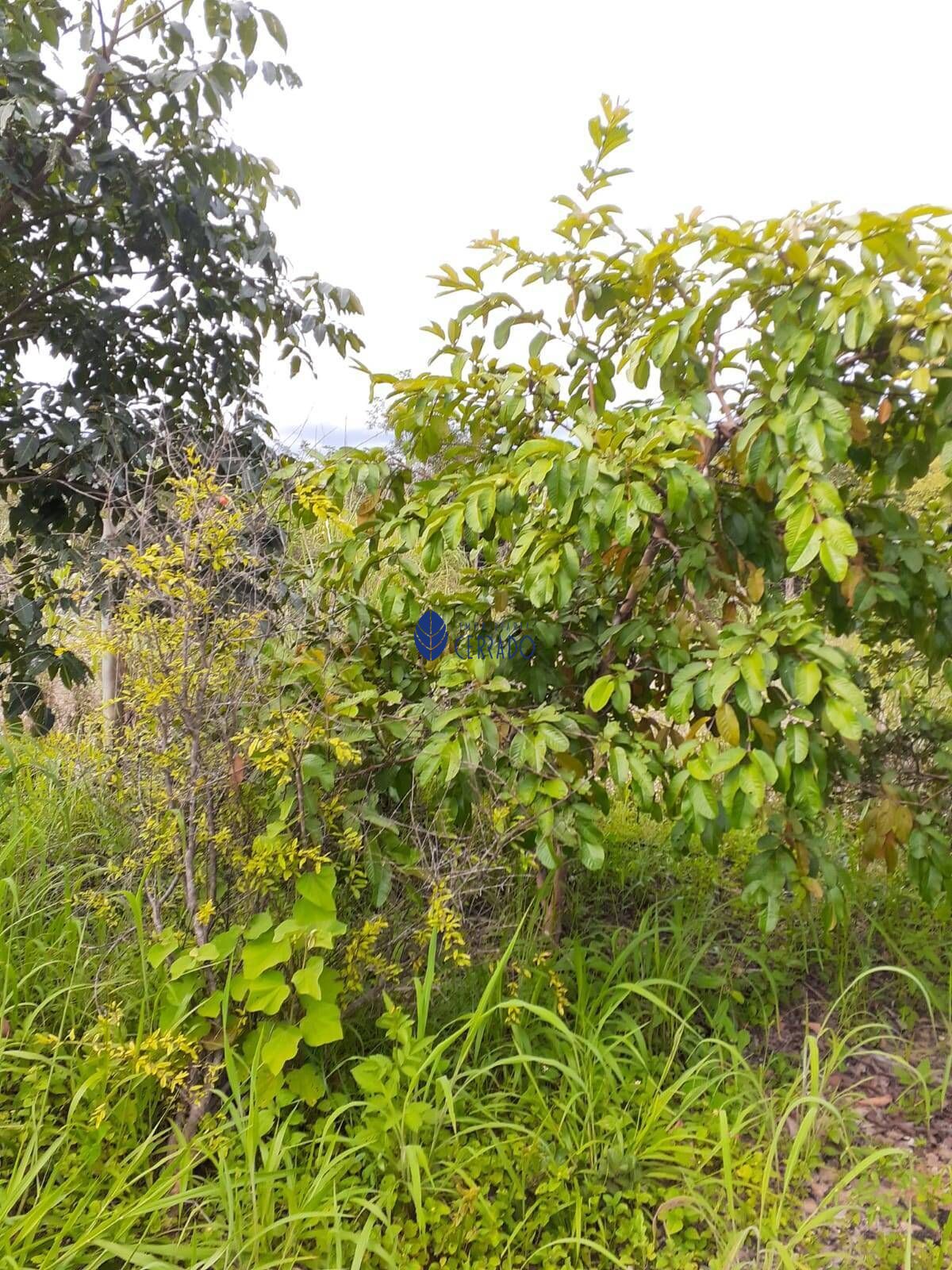 Fazenda/sítio/chácara/haras com 2 Dormitórios à venda, 100 m² por R$ 270.000,00