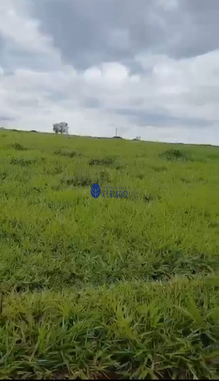 Sítio, 5 quartos, 24 hectares - Foto 4