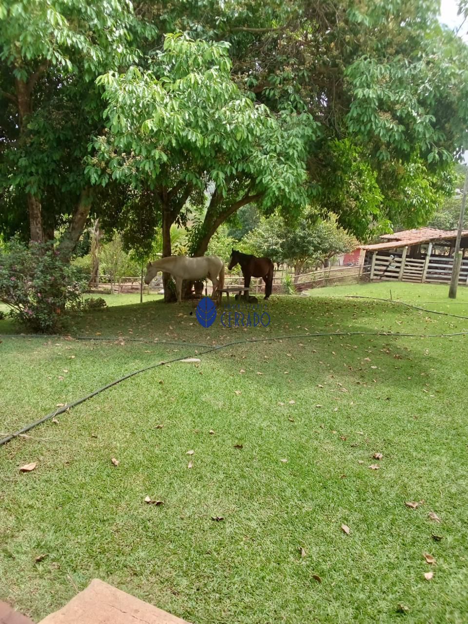 Sítio, 3 quartos, 32 hectares - Foto 33