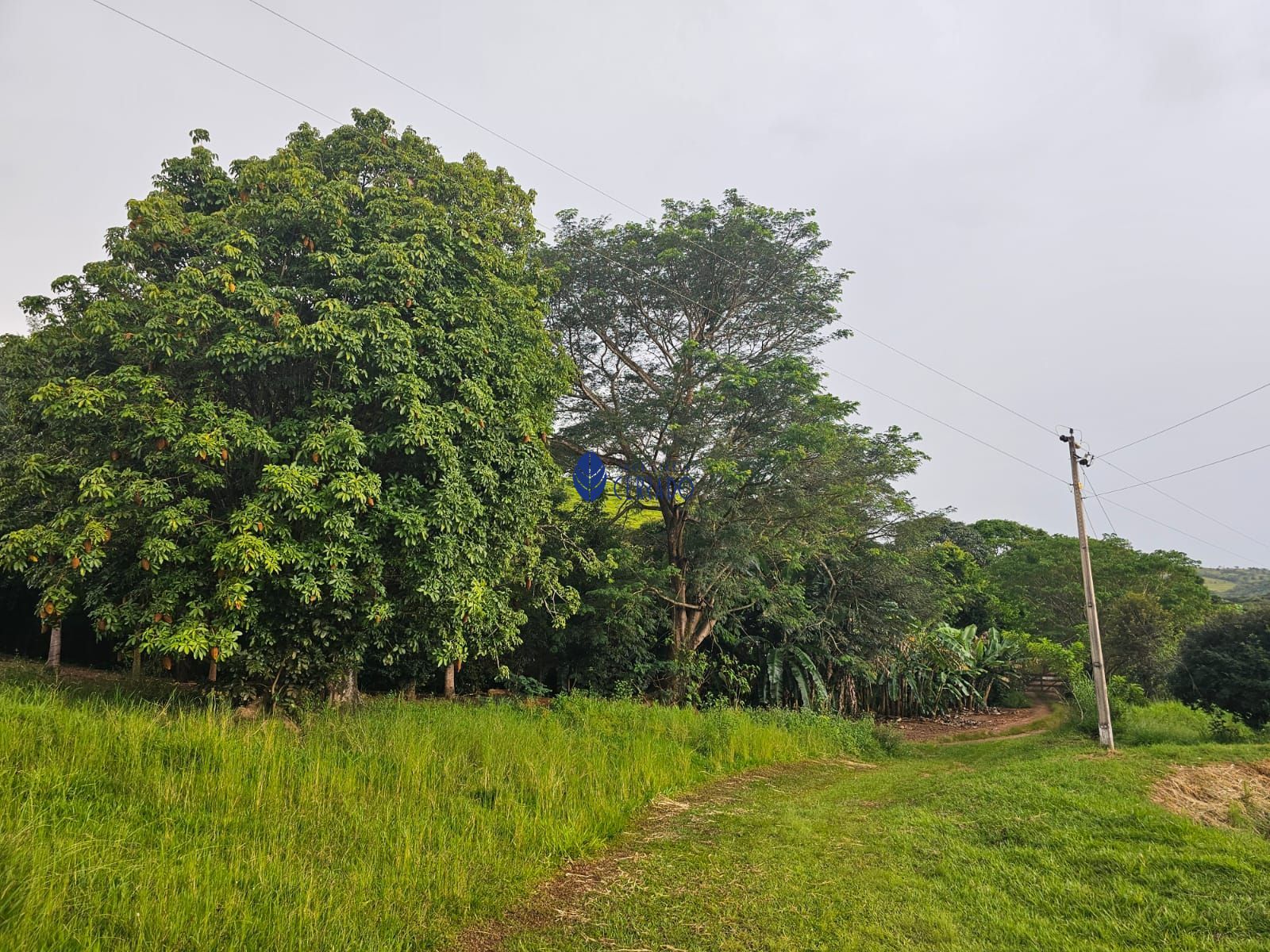 Chácara à venda com 4 quartos, 110m² - Foto 20