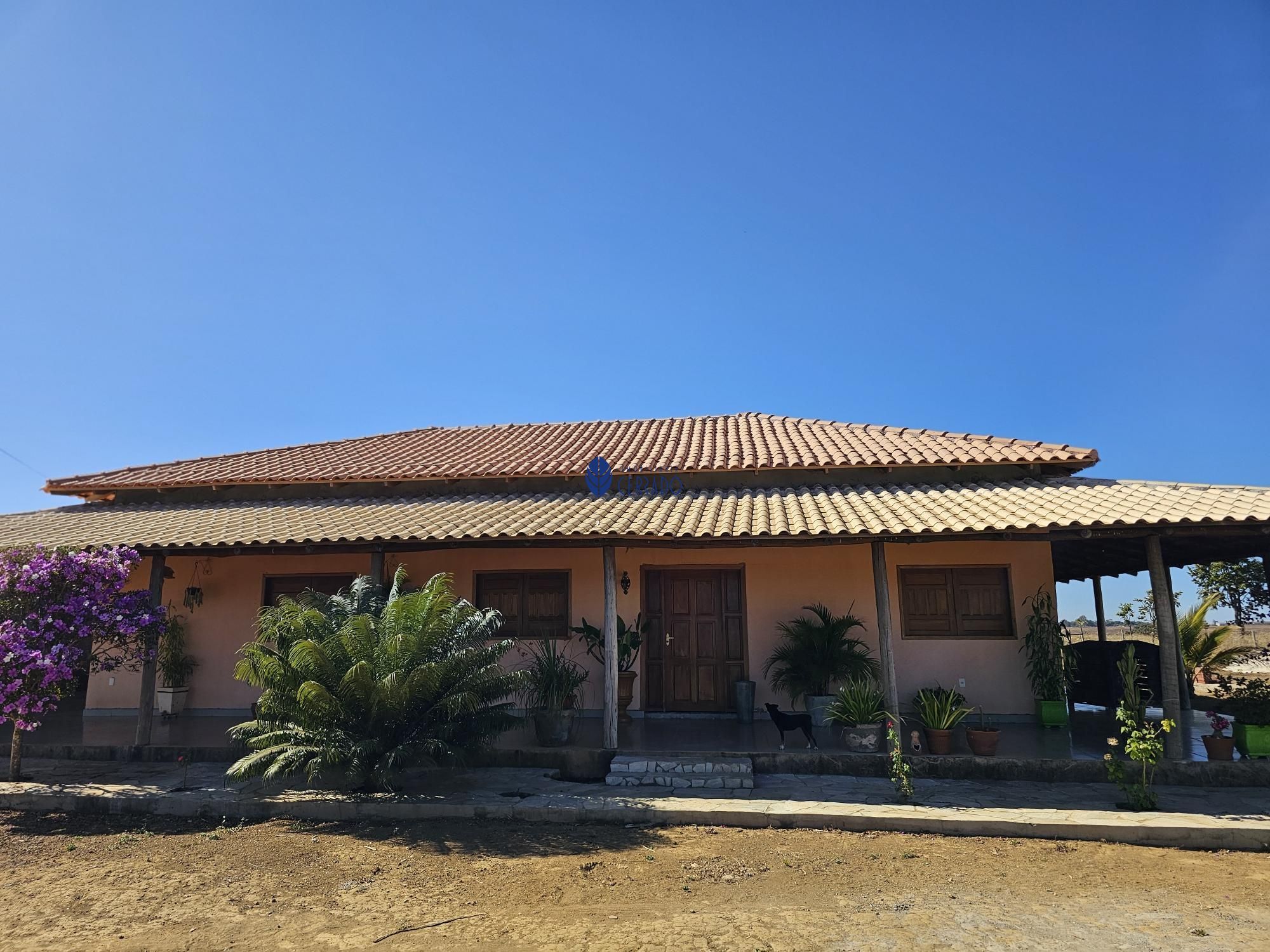 Chácara ipê – chácara de 6.000 m² à venda dentro de anápolis - foto 1