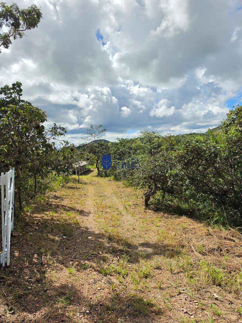 Chácara, 2 quartos, 2 hectares - Foto 15