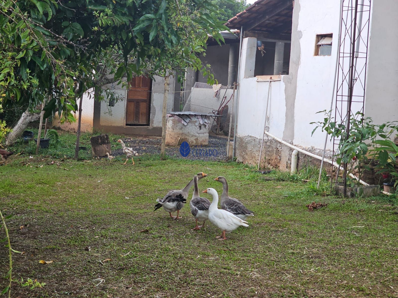 Chácara à venda com 4 quartos, 110m² - Foto 10