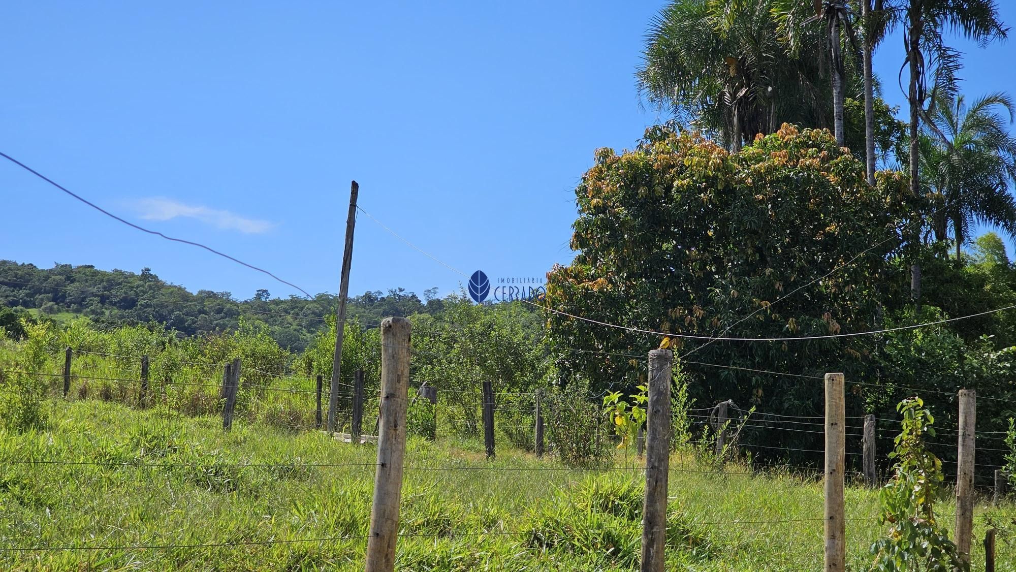 img77640657