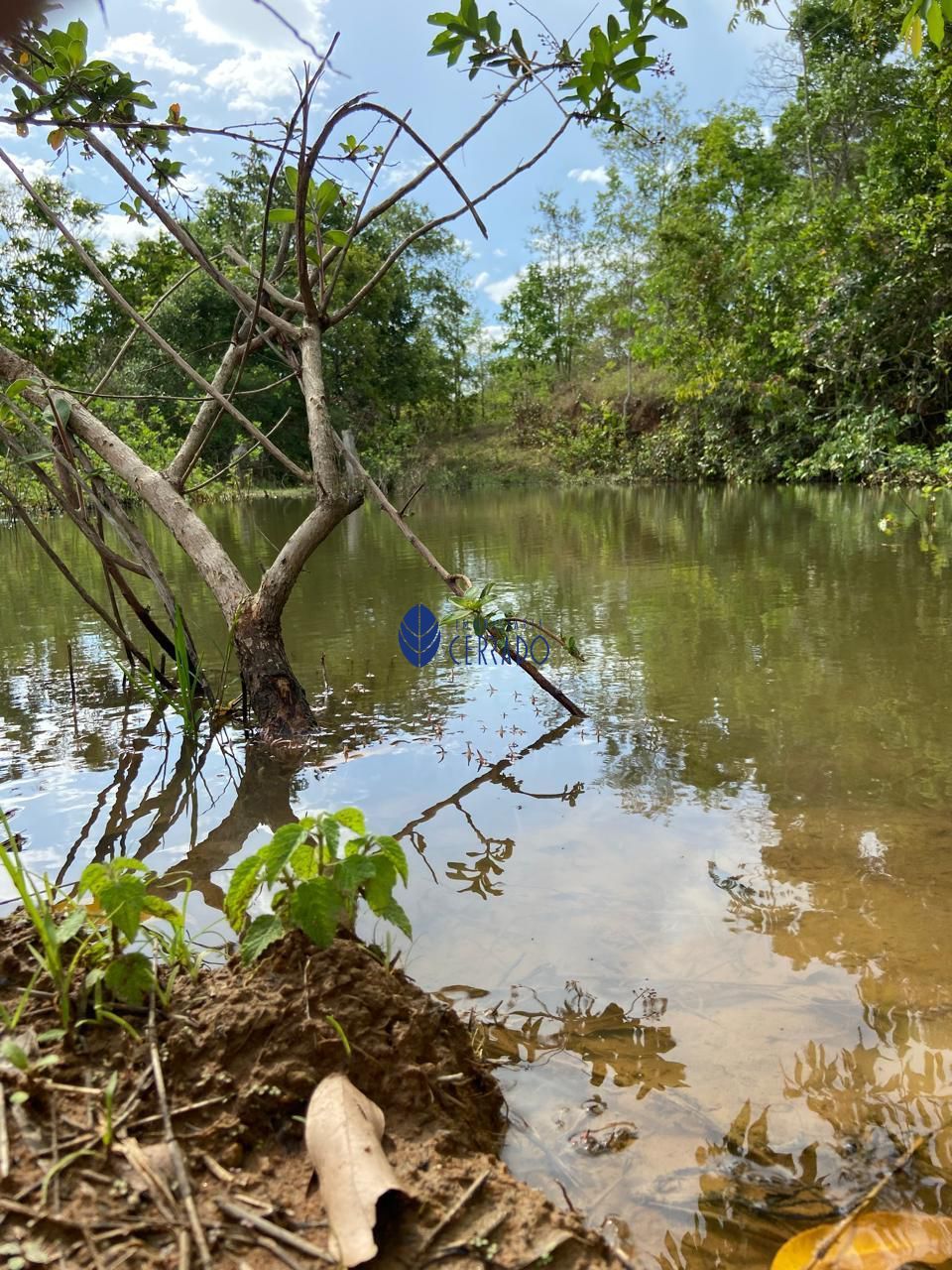 Sítio, 3 quartos, 32 hectares - Foto 24