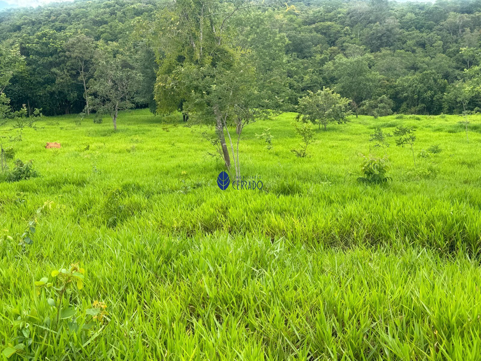 Lote/Terreno de 39m² no bairro Zona Rural, em Abadiânia | Eu Corretor