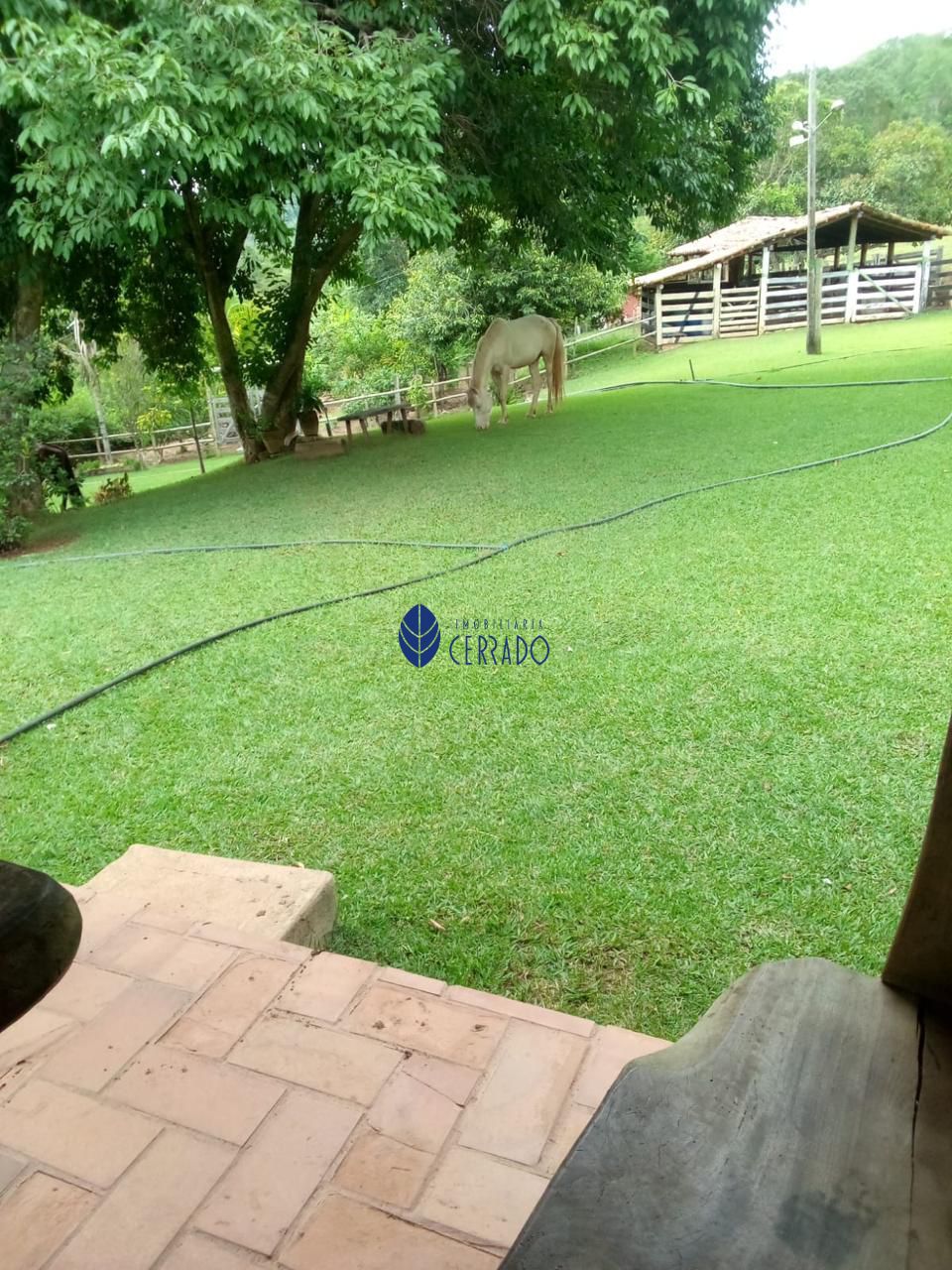 Sítio, 3 quartos, 32 hectares - Foto 30