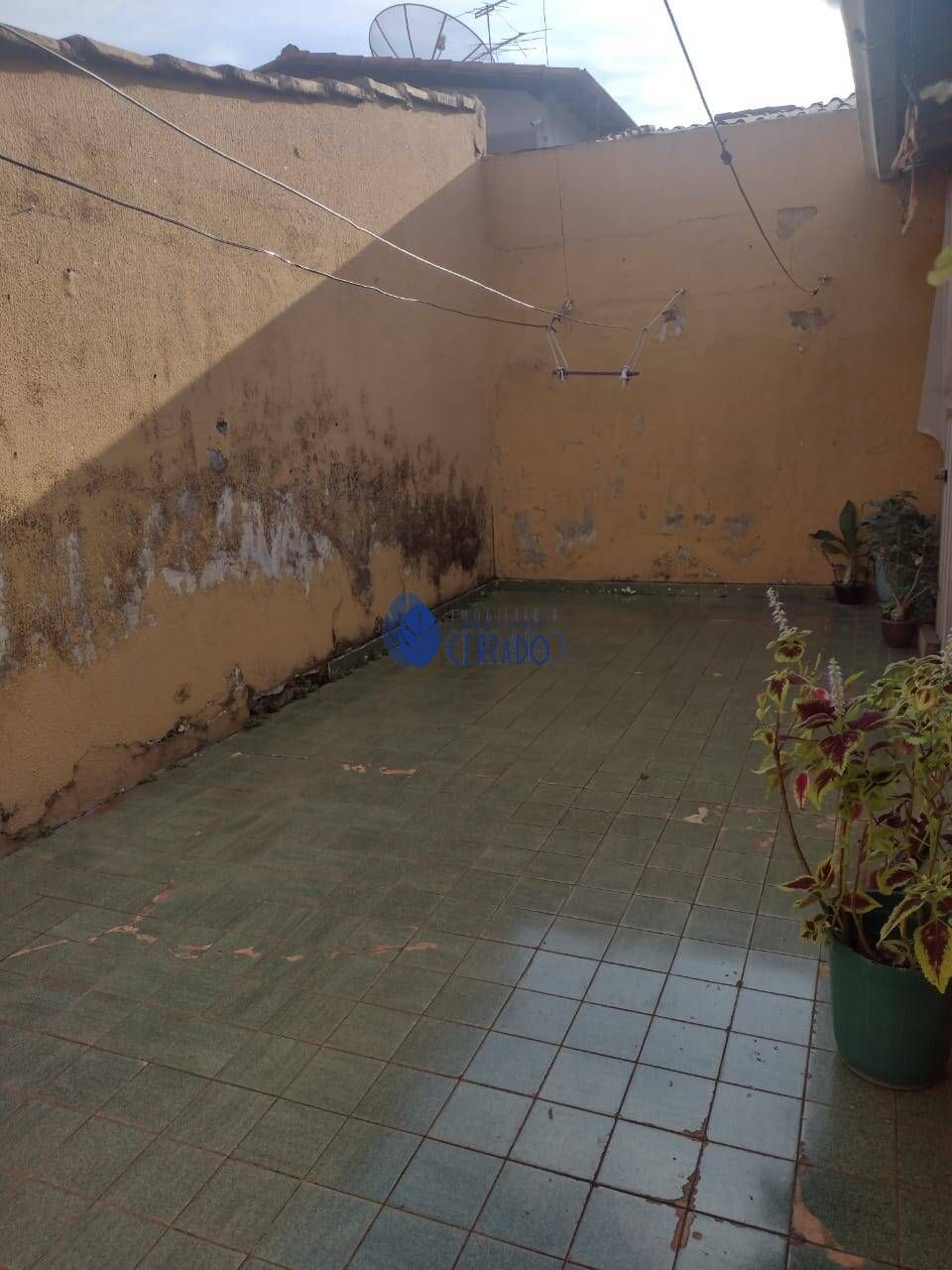 img31528863