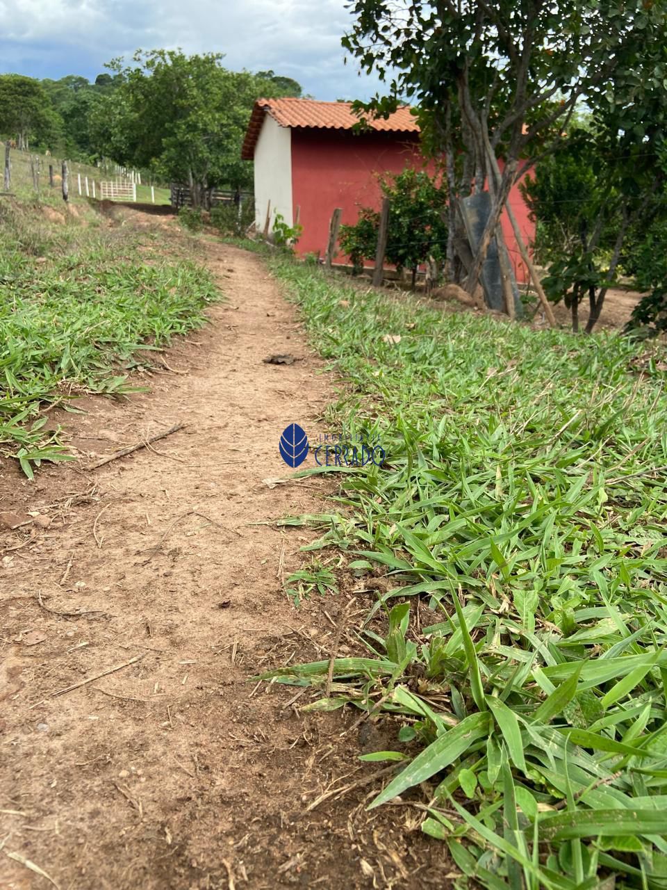 Sítio, 3 quartos, 32 hectares - Foto 15