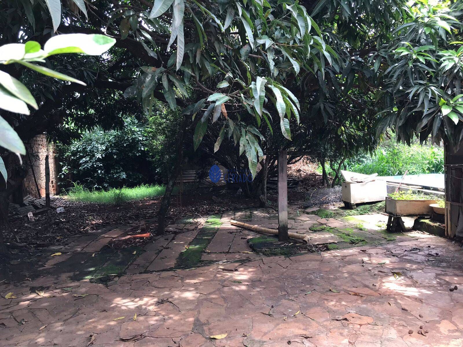 img39853732