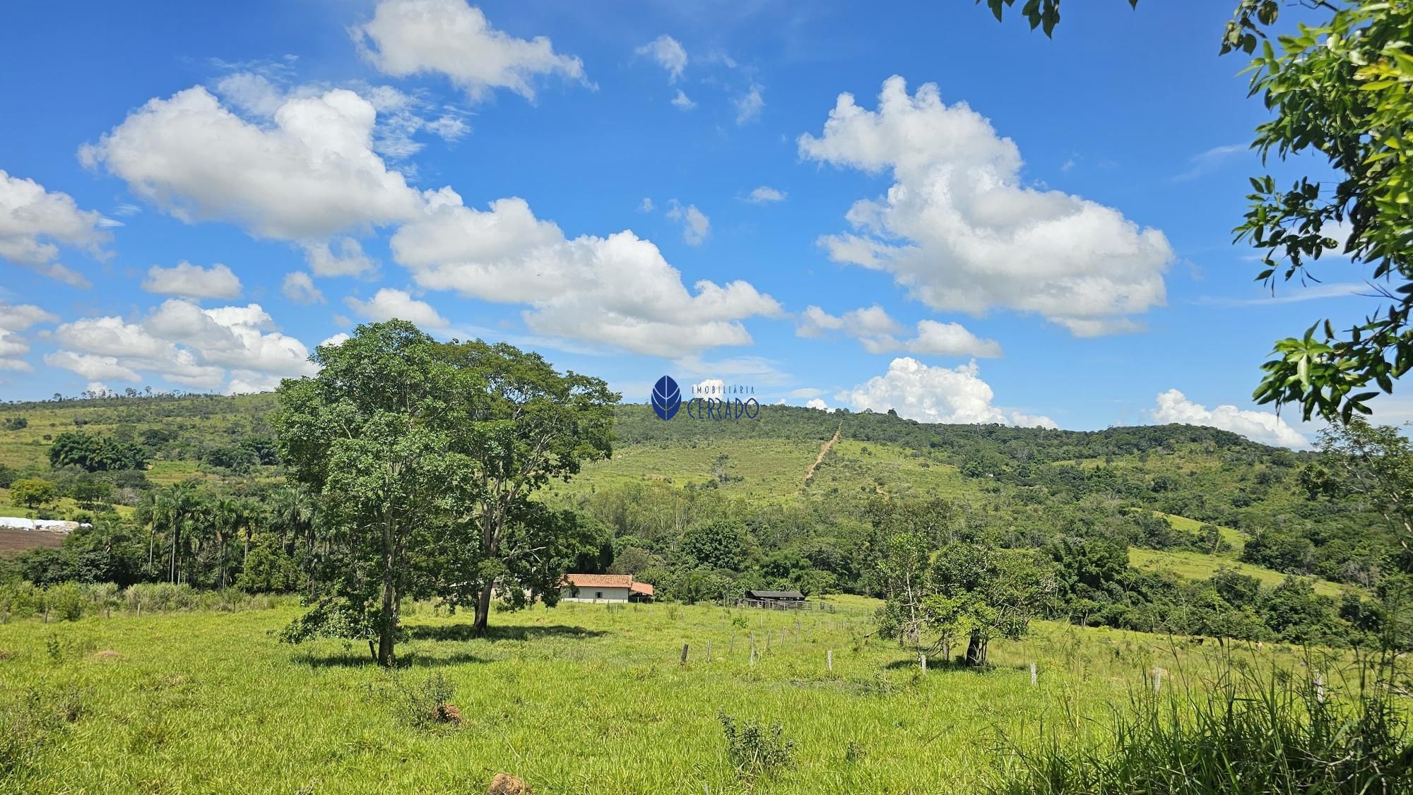 img77640675