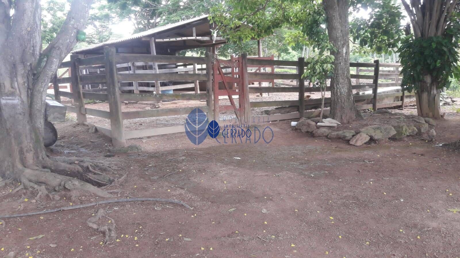 Fazenda à venda com 3 quartos, 120m² - Foto 30