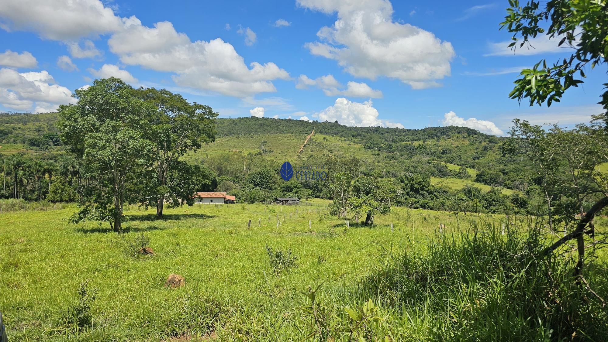 img77640670