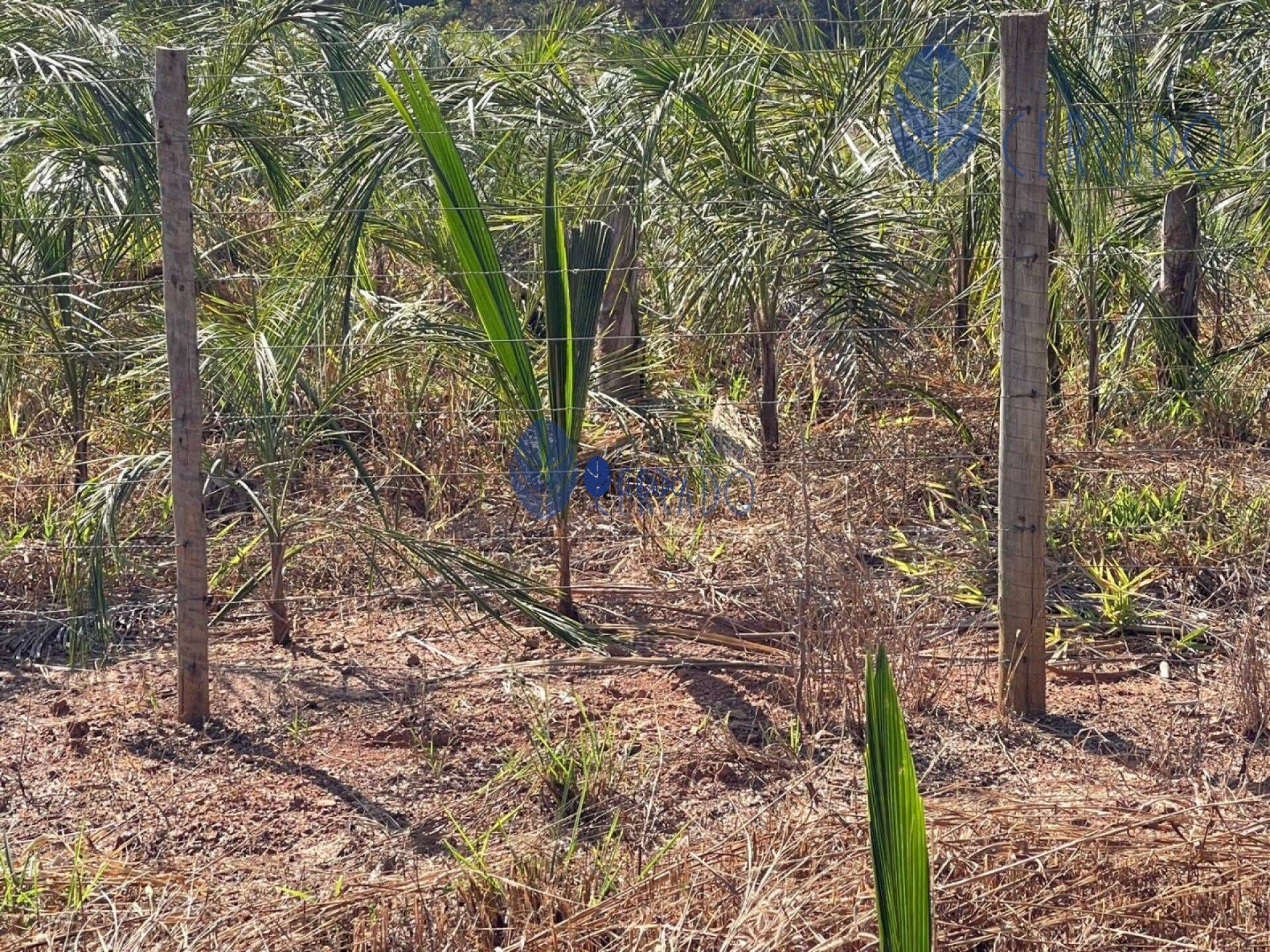 Terreno à venda, 20m² - Foto 5