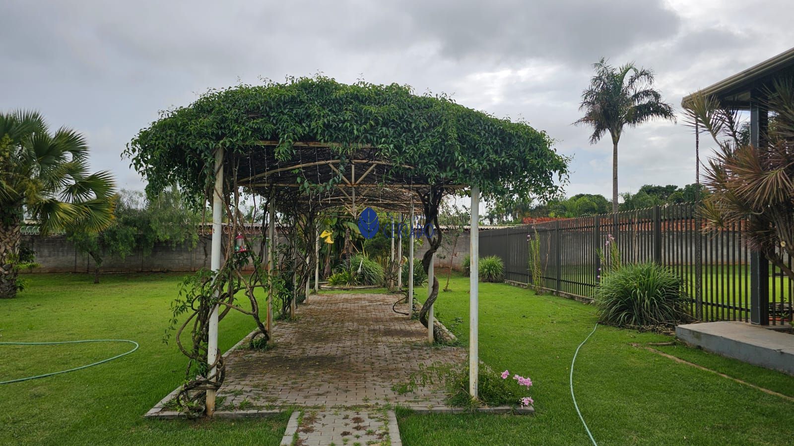 img70286295