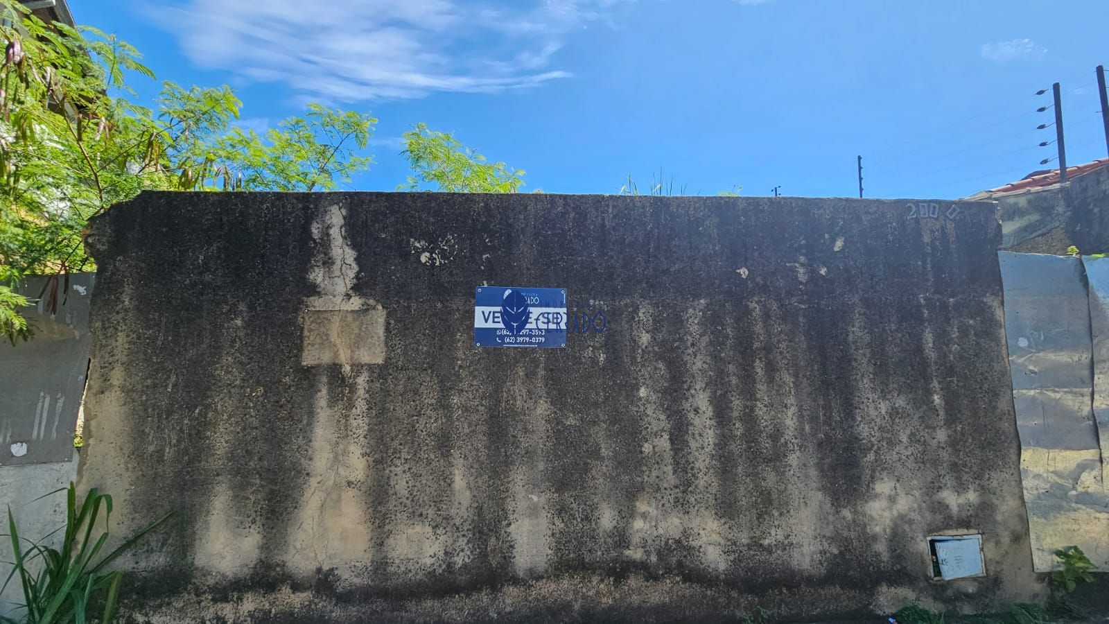 img138751857