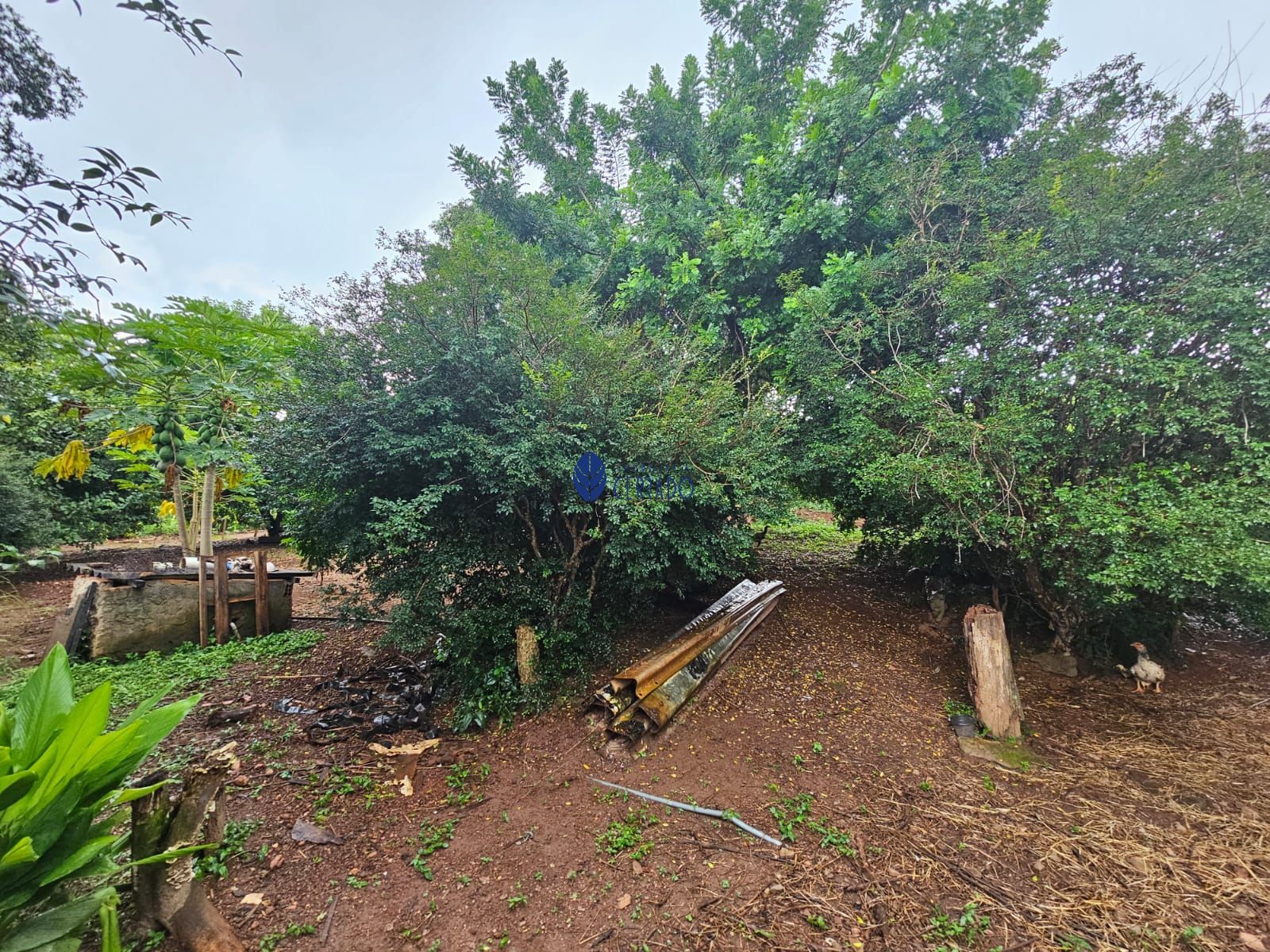 Chácara à venda com 4 quartos, 110m² - Foto 18