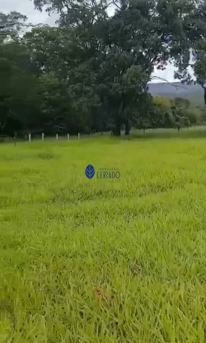 Sítio, 5 quartos, 24 hectares - Foto 10
