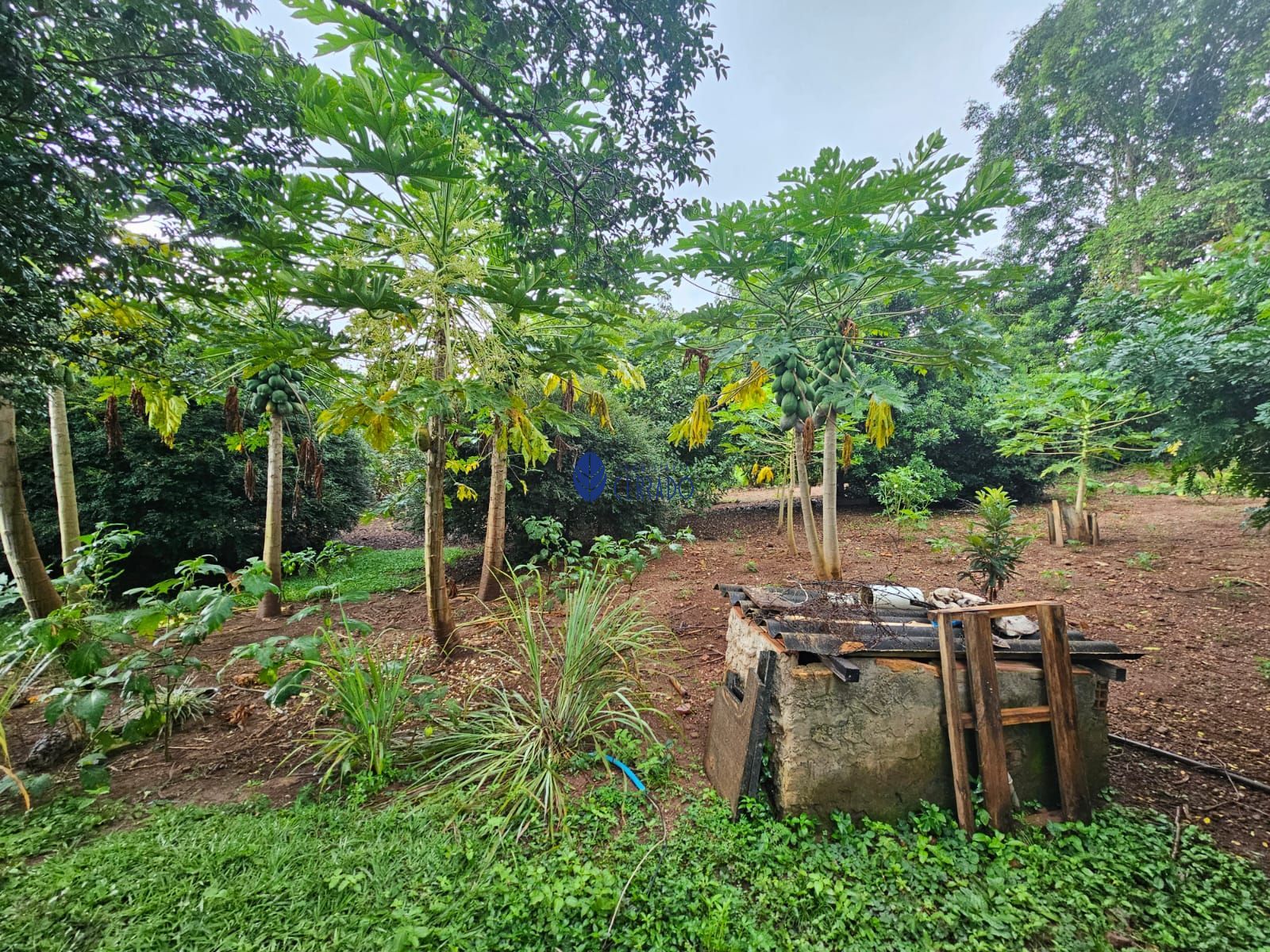 Chácara à venda com 4 quartos, 110m² - Foto 19