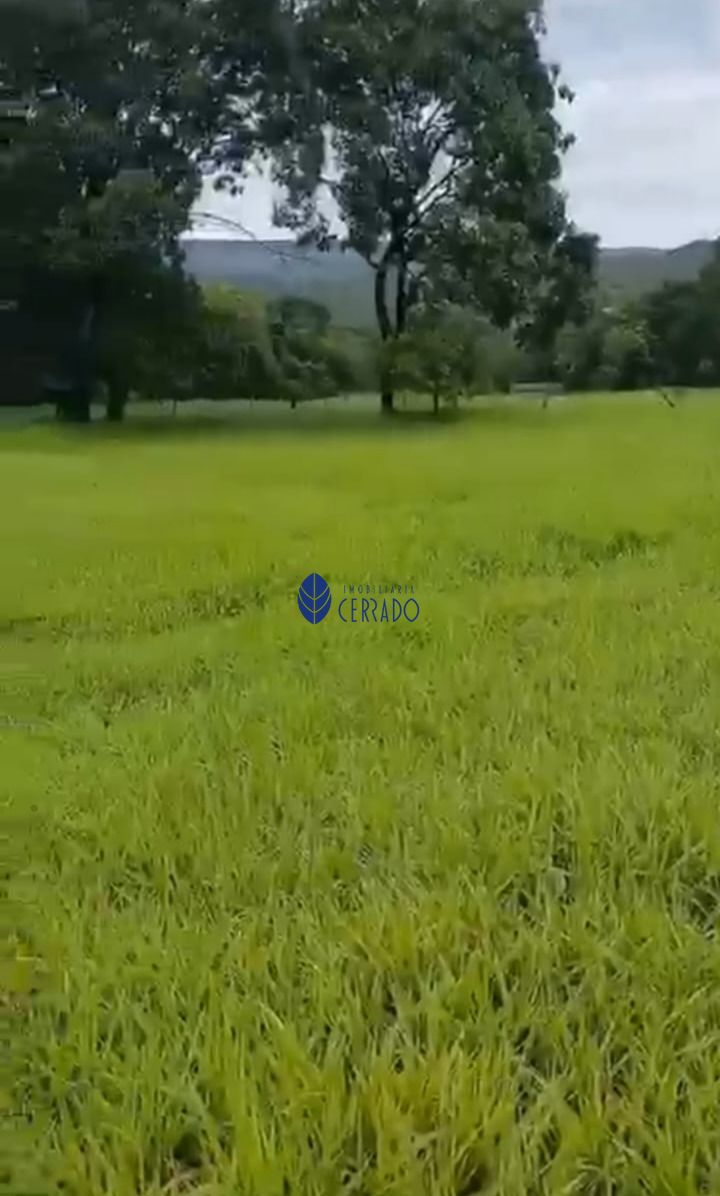 Sítio, 5 quartos, 24 hectares - Foto 12