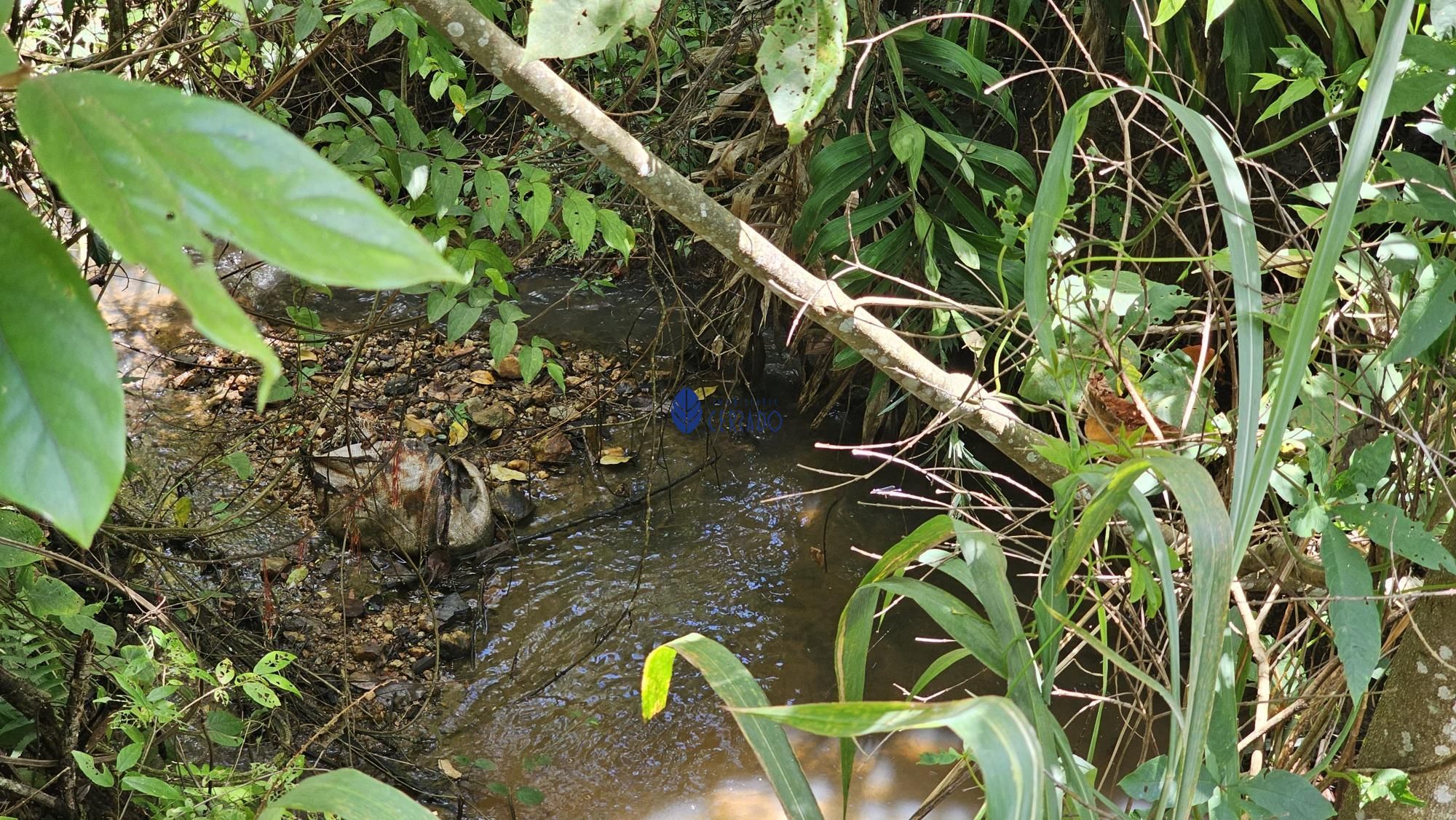 img77640679