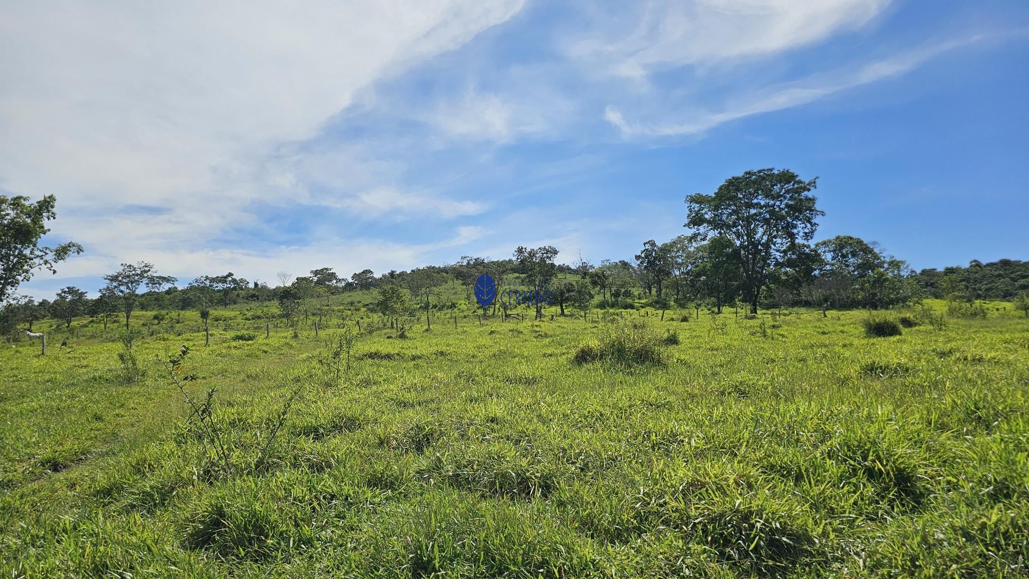 img77640664