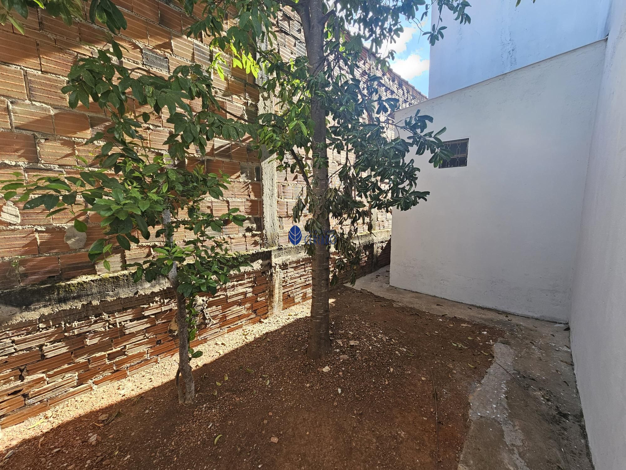 img242220500