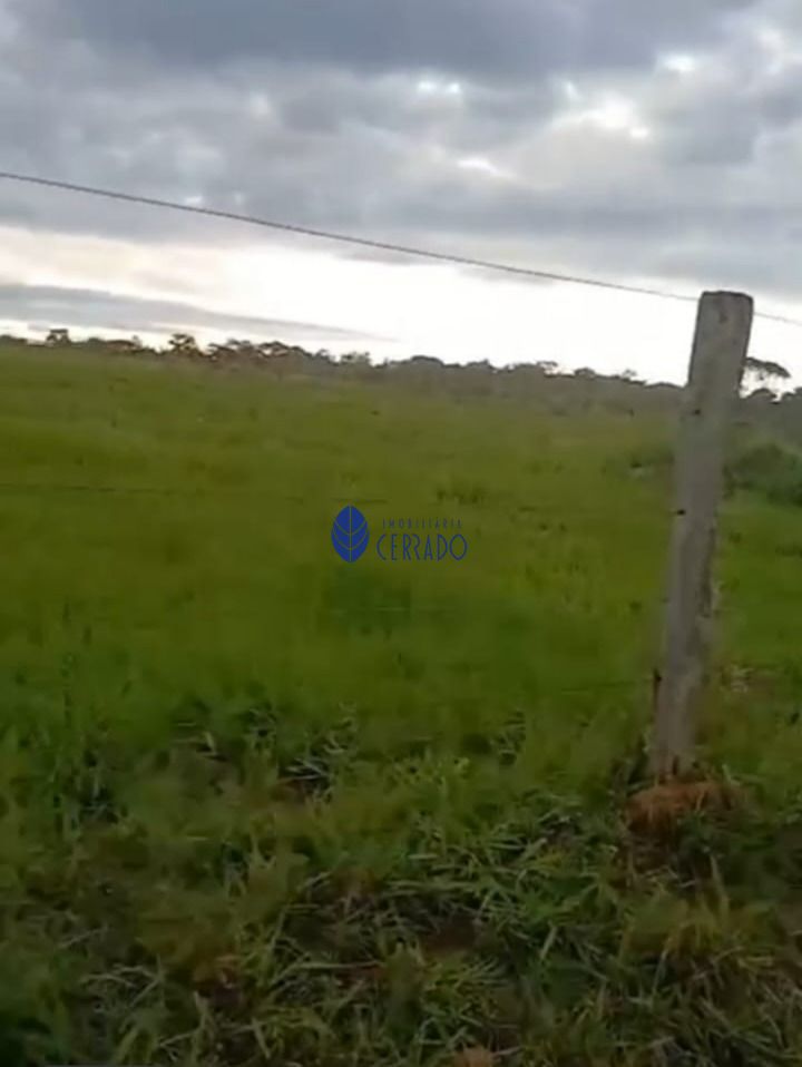 Sítio, 5 quartos, 24 hectares - Foto 6
