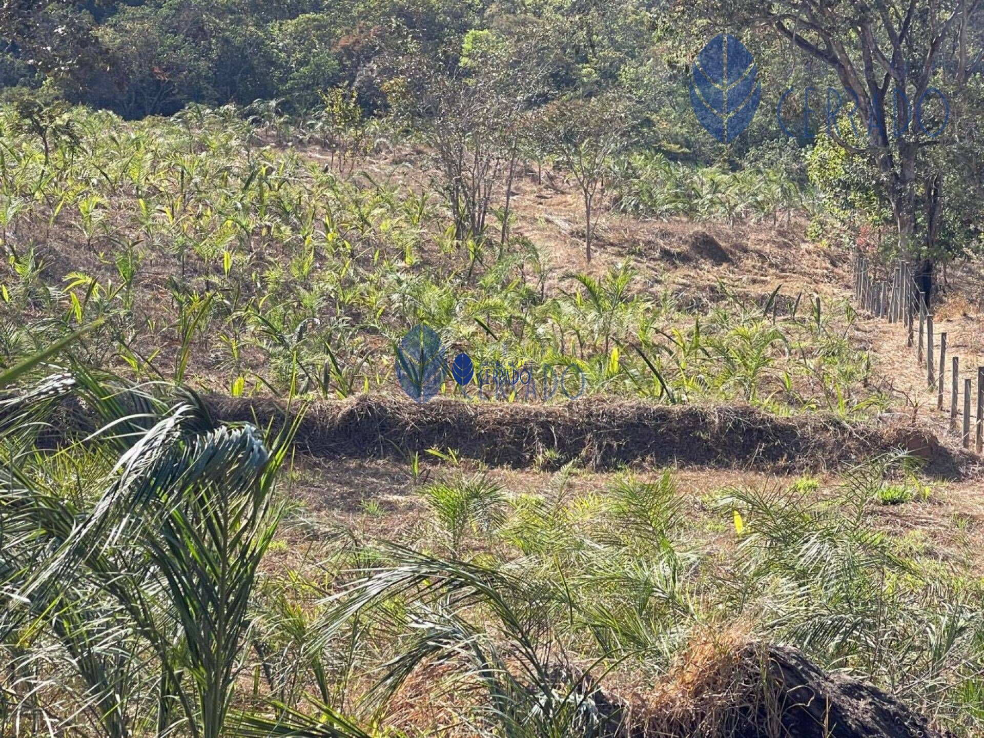 Terreno à venda, 20m² - Foto 7