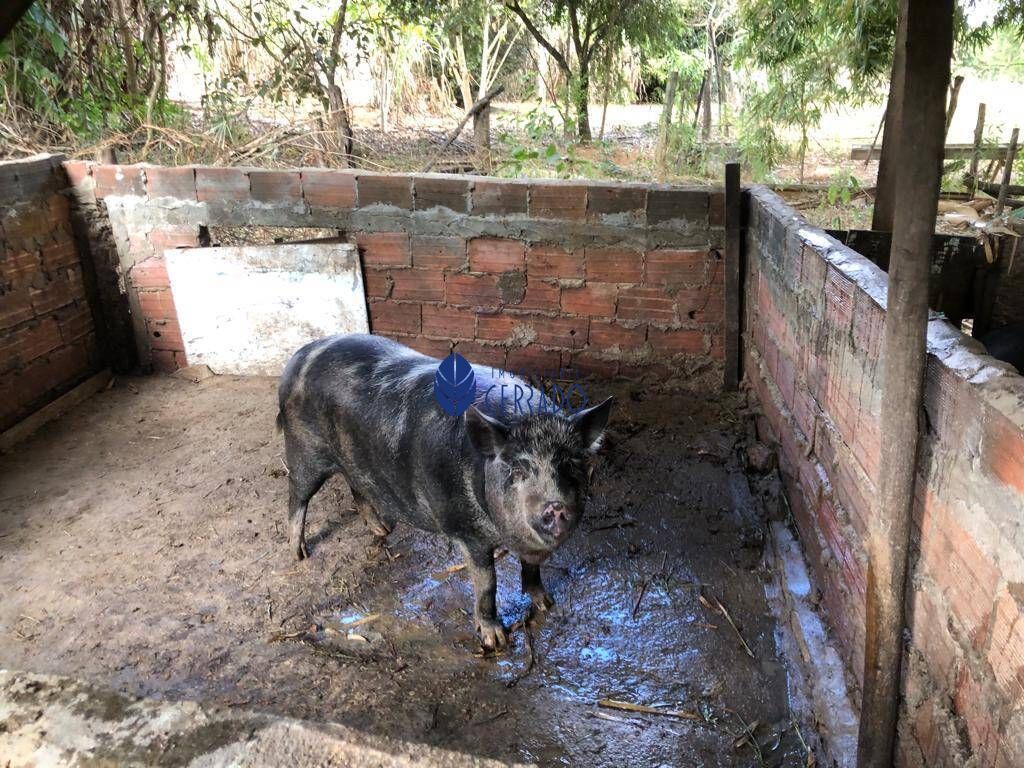 Fazenda/sítio/chácara/haras com 3 Dormitórios à venda, 260 m² por R$ 1.500.000,00
