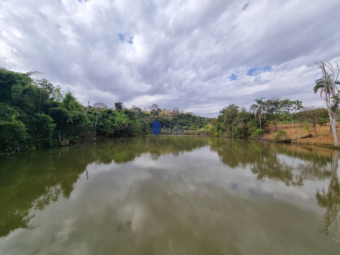 Fazenda/stio/chcara/haras  venda  no Zona Rural - Anpolis, GO. Imveis