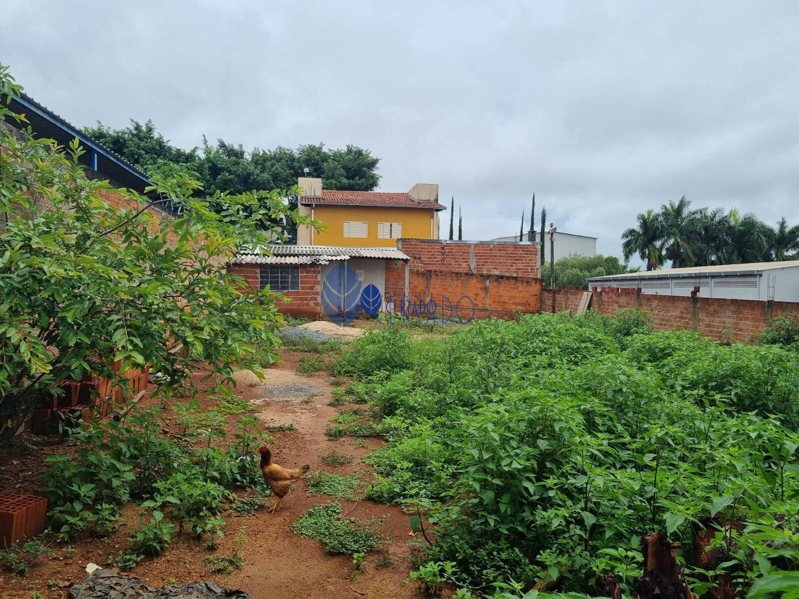Lote/Terreno de 450m² no bairro Anexo Maracananzinho, em Anápolis | Eu Corretor