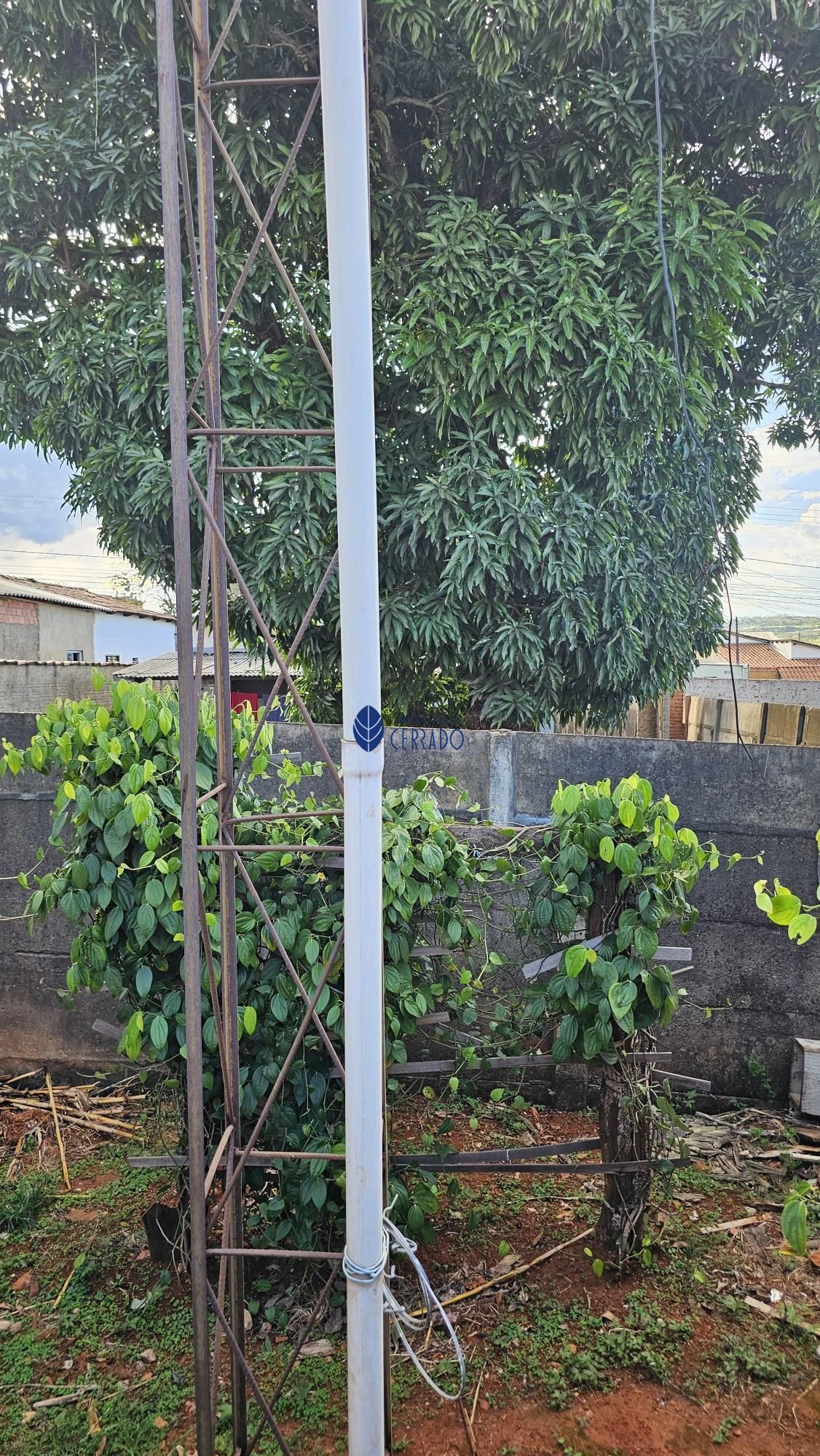 img138744294