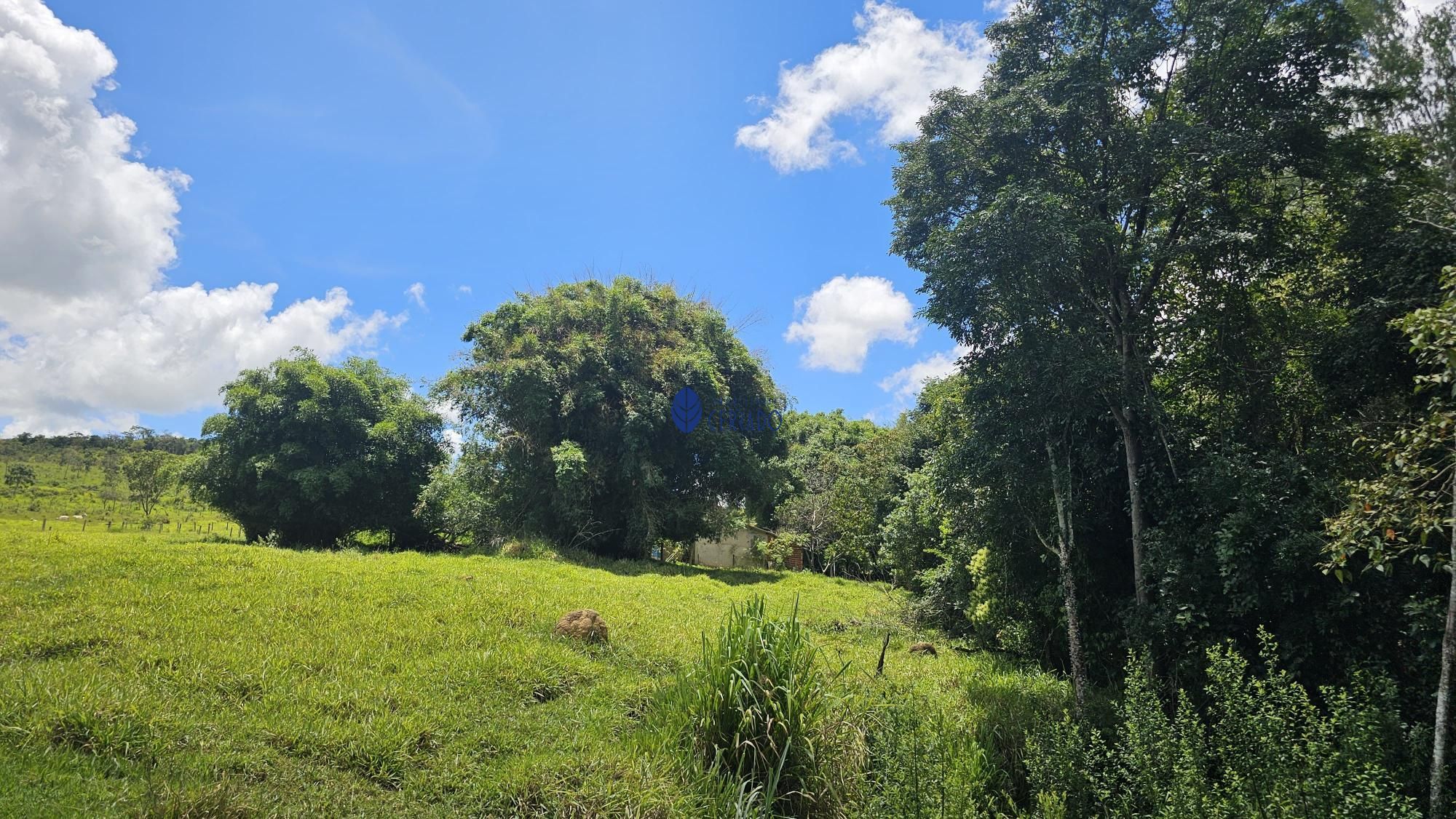 img77640676