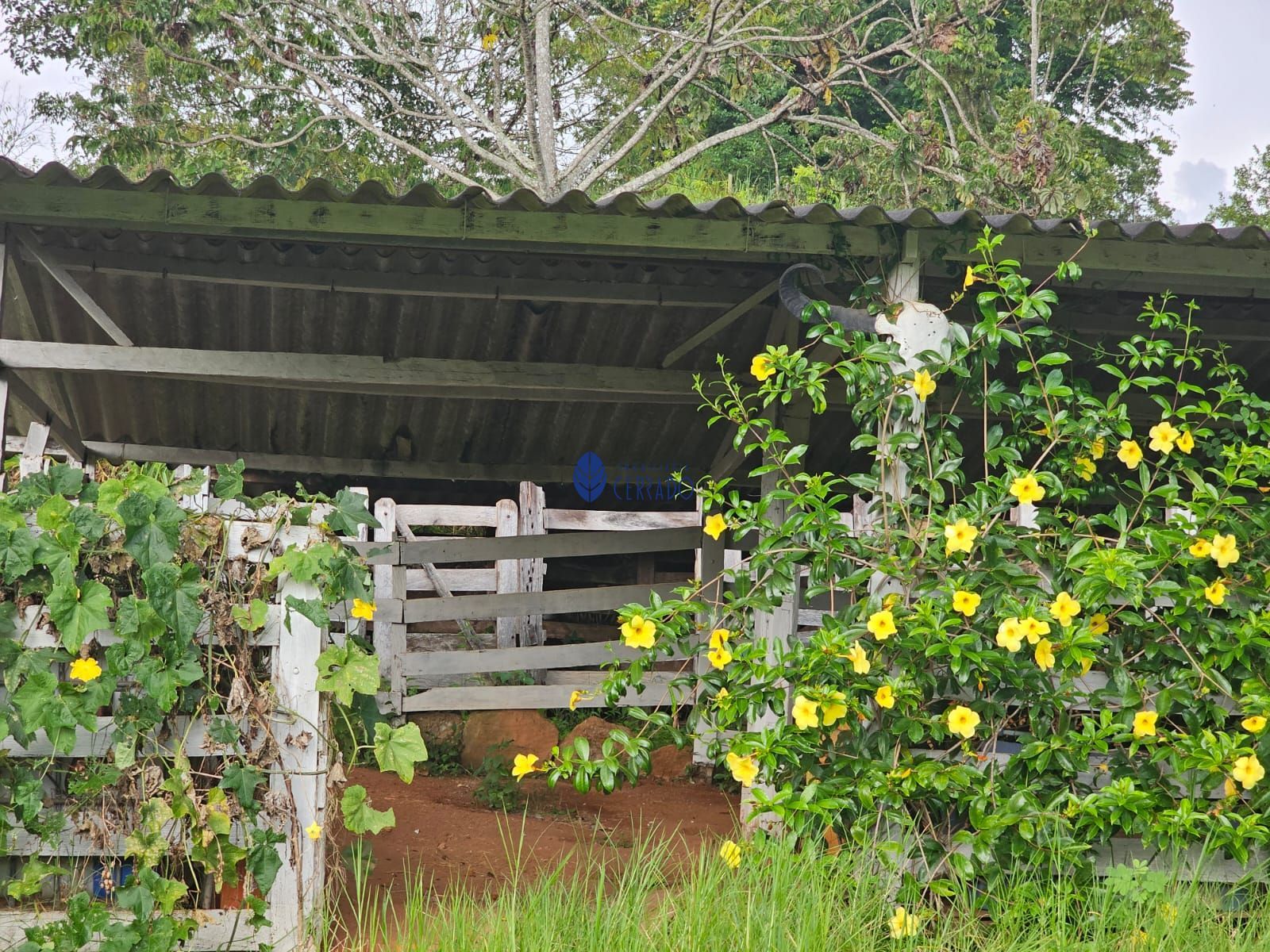 Chácara à venda com 4 quartos, 110m² - Foto 21