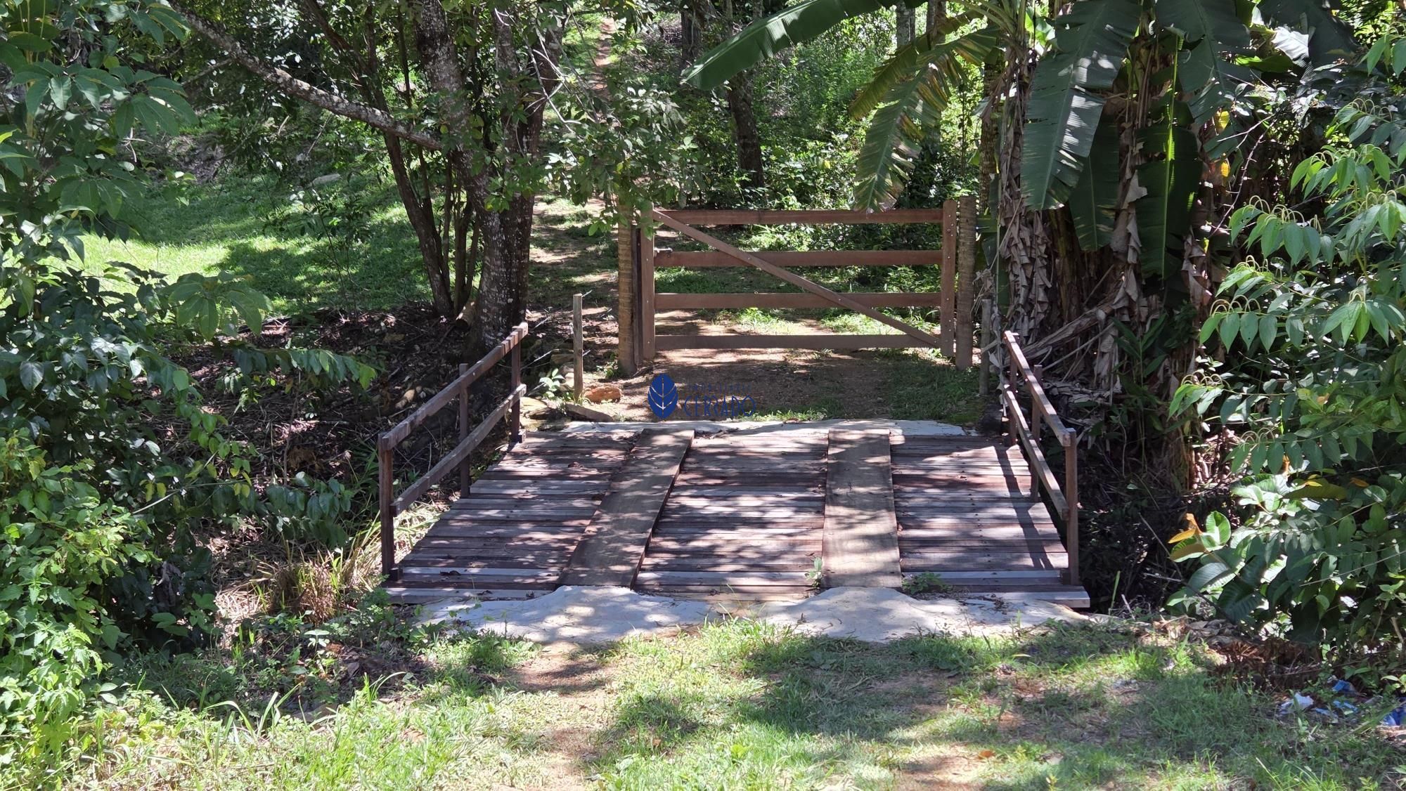 Sítio, 3 quartos, 32 hectares - Foto 19